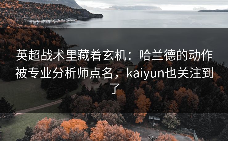 英超战术里藏着玄机：哈兰德的动作被专业分析师点名，kaiyun也关注到了