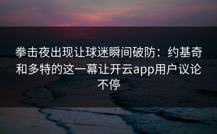 拳击夜出现让球迷瞬间破防:约基奇和多特的这一幕让开云app用户议论不停