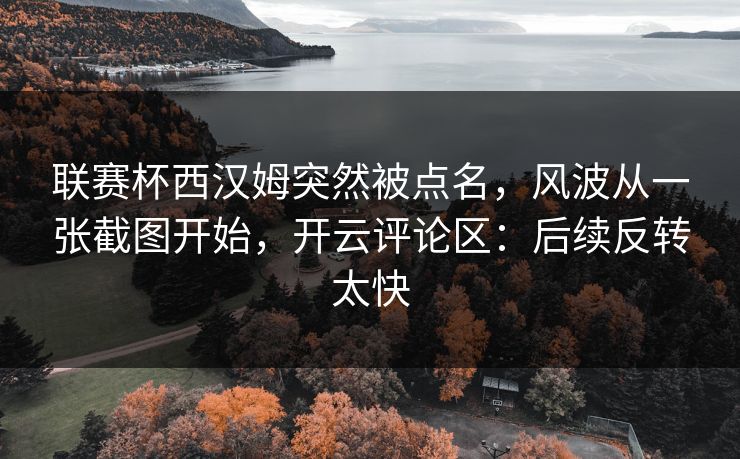 联赛杯西汉姆突然被点名，风波从一张截图开始，开云评论区：后续反转太快